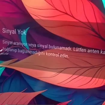Onvo 55VQ90F3UA TV'de Sinyal Problemi