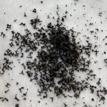 Dyson Süpürge Sorununda Tekrarlanan Ücretli Çözümler Ve Destek Yetersizliği