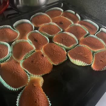 Arçelik MEB 5000 Fırınında Pişirme Sorunu Ve Mağduriyet