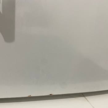 Bosch Buzdolabında Pas Lekeleri Ve Garanti Sonrası Ücretli Kapak Değişimi