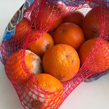 Çürük Portakallar, Cevapsız Destek Ve İade Talebi