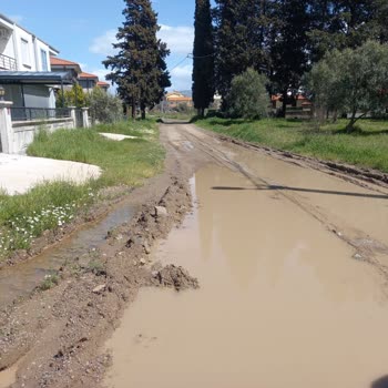 İskele Yolu Caddesi 45. Sokakta Yol Asfaltı Ve Altyapı Düzenlemesi Talebi