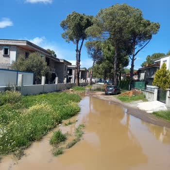 İskele Yolu Caddesi 45. Sokakta Yol Asfaltı Ve Altyapı Düzenlemesi Talebi