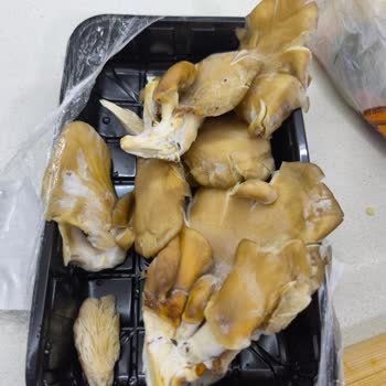 Migros Forum Bornova’da Küflü İstiridye Mantarı Ve Gıda Güvenliği Sorunu