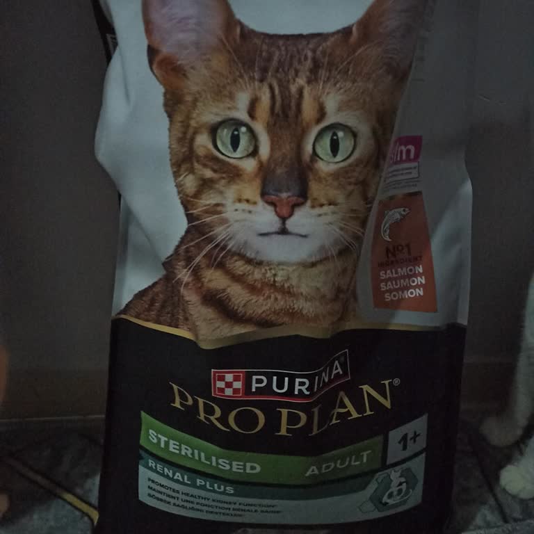 Kedilerim Sahte Pro Plan Somonlu Kedi Maması Yiyemedi Ve Geri Ödeme Talep Ediyorum