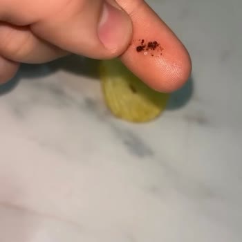 Cipso Cipsinde Böcek Şoku Ve Cevapsız Sosyal Medya Talepleri