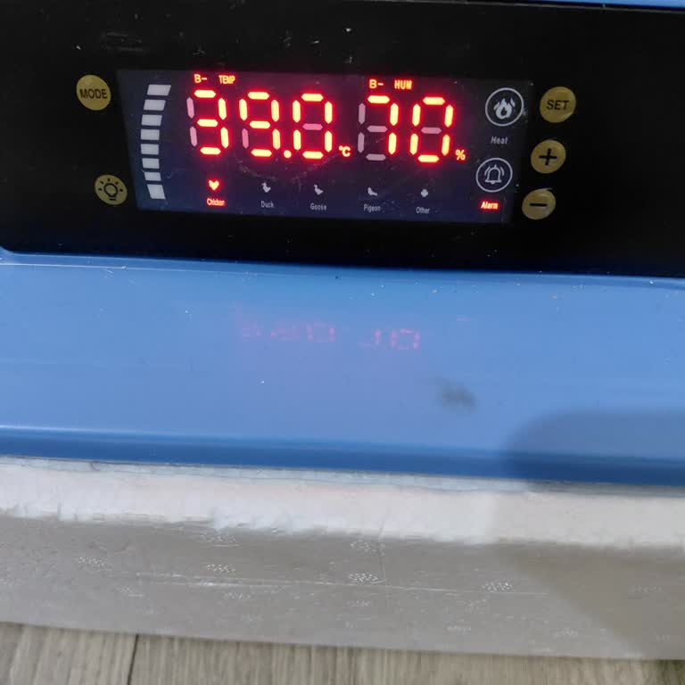 Beklenen 240 Civciv İçin Sadece 8 Çıkan Makine Ve İade Talebi