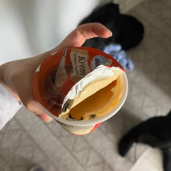 Küflü Krem Peynir Ve İade Sırasında Yaşanan Çatışma