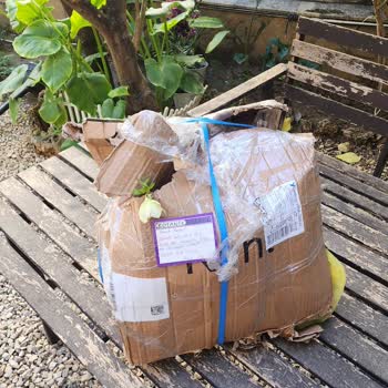 Kötü Paketleme Ve Hasarlı Bitkiler Nedeniyle Tam İade Talebi