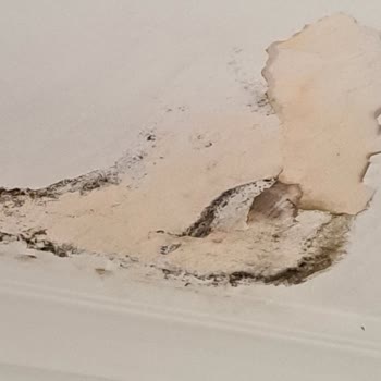 Turkcell Superonline Bakım Çalışması Sonrası Evde Su Hasarı Ve Kırılan Güneş Paneli