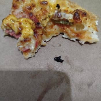Domino’s Pizza’da Plastik Parçalar İçeren Pizza Ve Cevapsız Müşteri İletişimi