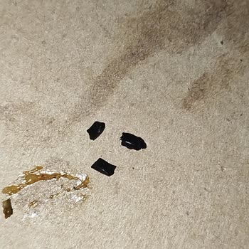 Domino’s Pizza’da Plastik Parçalar İçeren Pizza Ve Cevapsız Müşteri İletişimi