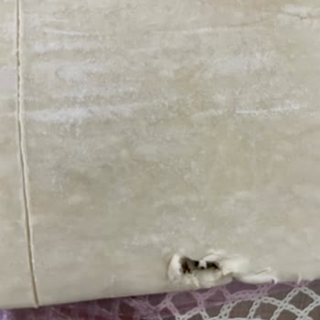 Superfresh Milföy Hamurunda Kurt Benzeri Nesne Bulunması Ve Sağlık Endişesi