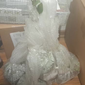 Alz Garden Yanıltıcı Reklamı Ve Hatalı Fidan Teslimatı İçin İade Talebi