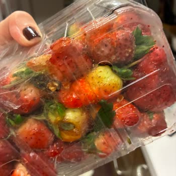 Taze Dükkan'tan Çürük Çilek Ve Avokado İçin İade Talebi Ve Yanıtsız Müşteri Hizmetleri