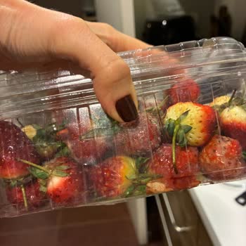 Taze Dükkan'tan Çürük Çilek Ve Avokado İçin İade Talebi Ve Yanıtsız Müşteri Hizmetleri