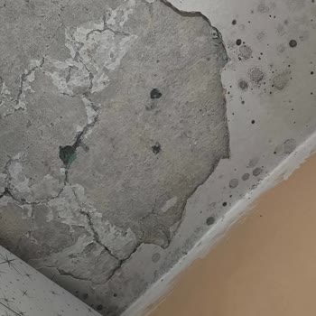 Diyarbakır Bağlar’da Deprem Sonrası Binamızın Güvenliği İhmal Ediliyor Ve Acil Tahliye Talebi