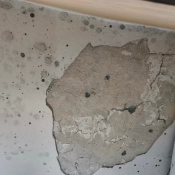 Diyarbakır Bağlar’da Deprem Sonrası Binamızın Güvenliği İhmal Ediliyor Ve Acil Tahliye Talebi