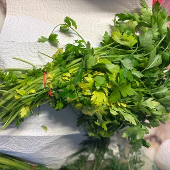 Ciddi Hayal Kırıklığı: Kalitesiz Ve Eksik Sebze-Meyve Gönderimi