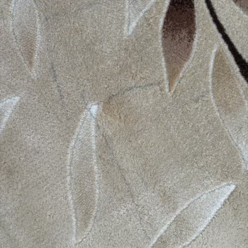 İhtişam Halı Yıkamada 20 Gün Gecikme, Lekeli Halılar Ve Cevapsız Telefon