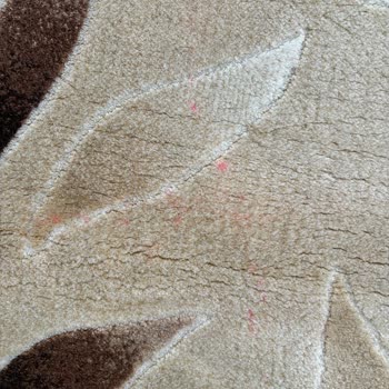 İhtişam Halı Yıkamada 20 Gün Gecikme, Lekeli Halılar Ve Cevapsız Telefon