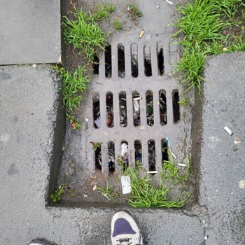 Barış Mahallesi Sakarya Caddesi'nde Yol Ve Kaldırım Bakım İhmali