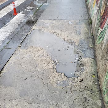 Barış Mahallesi Sakarya Caddesi'nde Yol Ve Kaldırım Bakım İhmali