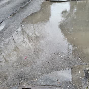 Barış Mahallesi Sakarya Caddesi'nde Yol Ve Kaldırım Bakım İhmali