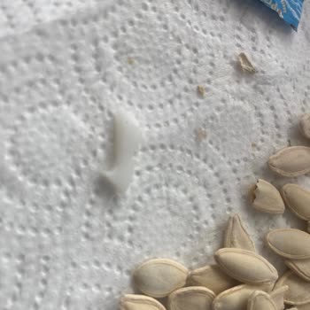 Kavrulmuş Kabak Çekirdeğinde Keskin Plastik Parça Bulundu: Sağlık Riski