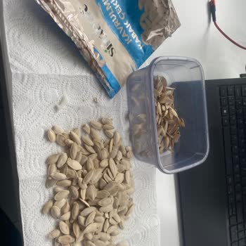 Kavrulmuş Kabak Çekirdeğinde Keskin Plastik Parça Bulundu: Sağlık Riski