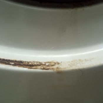 Garanti Süresinde Paslanan Samsung Çamaşır Makinesine Servis Ve Ücret Talebi