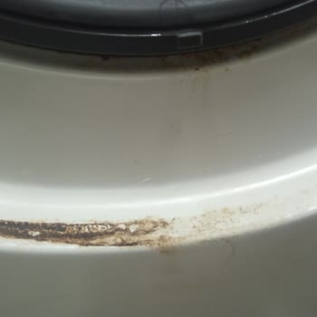 Garanti Süresinde Paslanan Samsung Çamaşır Makinesine Servis Ve Ücret Talebi