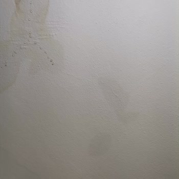 Doğa Sigorta’dan Su Hasarı İçin Uzun Süre Eksper Yanıtı Bekleniyor