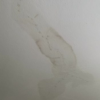 Doğa Sigorta’dan Su Hasarı İçin Uzun Süre Eksper Yanıtı Bekleniyor