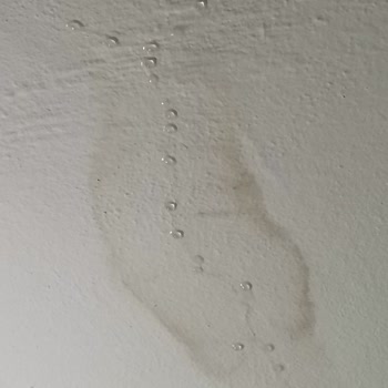 Doğa Sigorta’dan Su Hasarı İçin Uzun Süre Eksper Yanıtı Bekleniyor