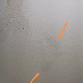 Doğa Sigorta’dan Su Hasarı İçin Uzun Süre Eksper Yanıtı Bekleniyor