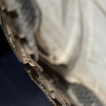 Skechers Hillcrest 2.0 Ayakkabısında Erken Yırtılma Ve Reddedilen İade Talebi