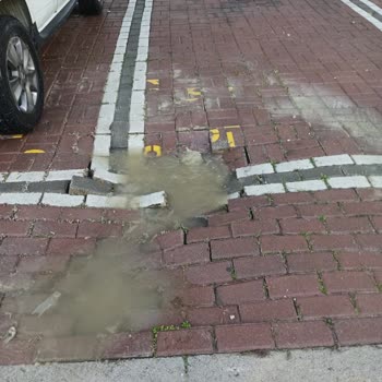 Alya Park Sitesi’ndeki Sürekli Kanalizasyon Sızıntısı Ve Sağlık Riski