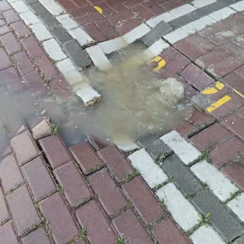 Alya Park Sitesi’ndeki Sürekli Kanalizasyon Sızıntısı Ve Sağlık Riski