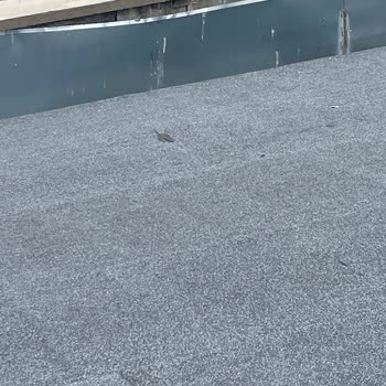 Yıldırım Beyazıt Mahallesinde Çatıdaki Yapısal Güvenlik Sorunları Ve Acil Çözüm Talebi