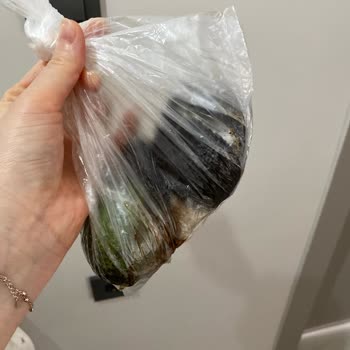 Migros Online Siparişlerde Çürük Avokado Ve Geciken İade