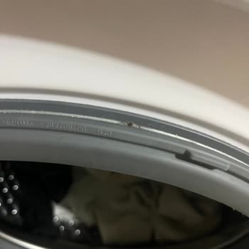 Beko Çamaşır Makinesinde Kapak Kenarında Küflenme Ve Ücretsiz Onarım Talebi