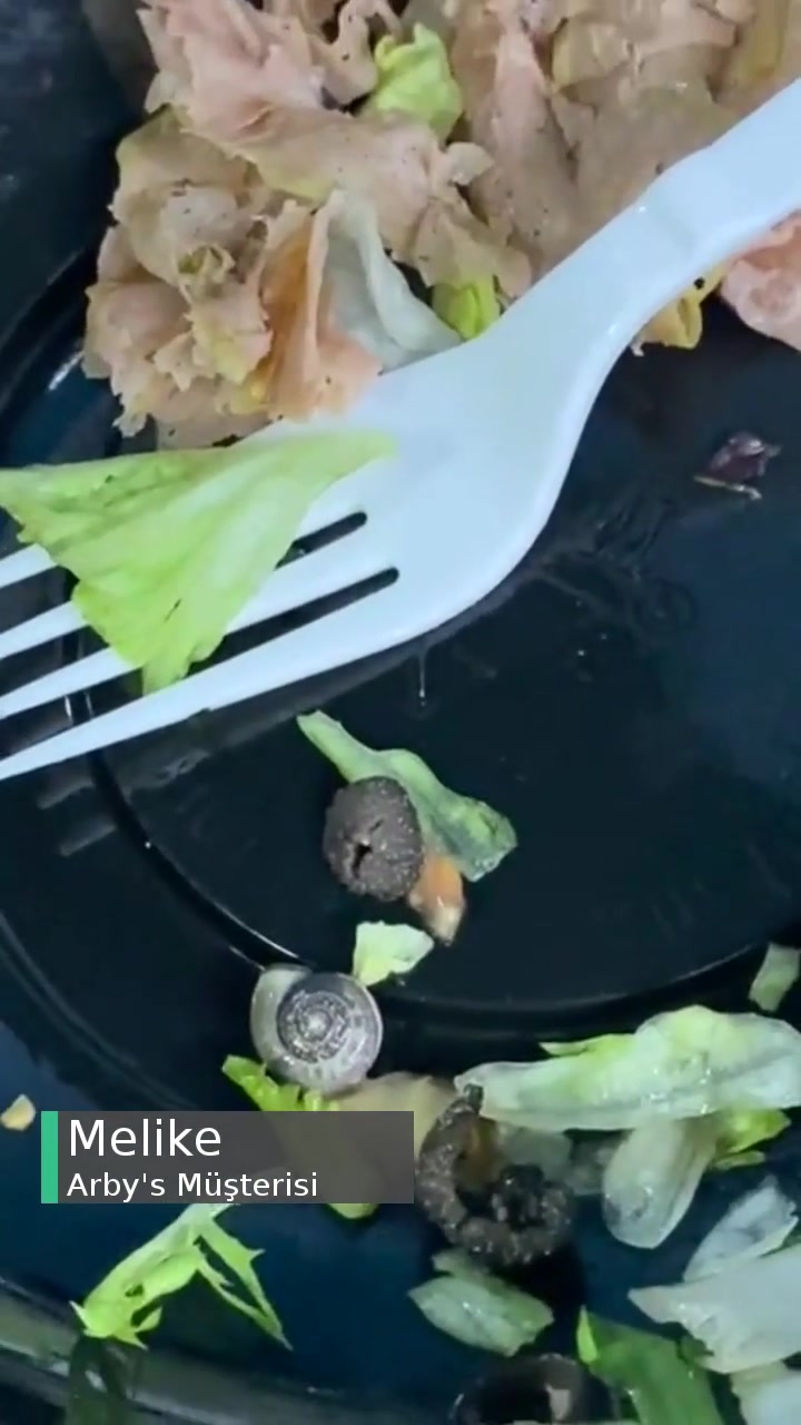 Arby's Salatanın İçinden Salyangoz Çıktı videonun kapak resmi