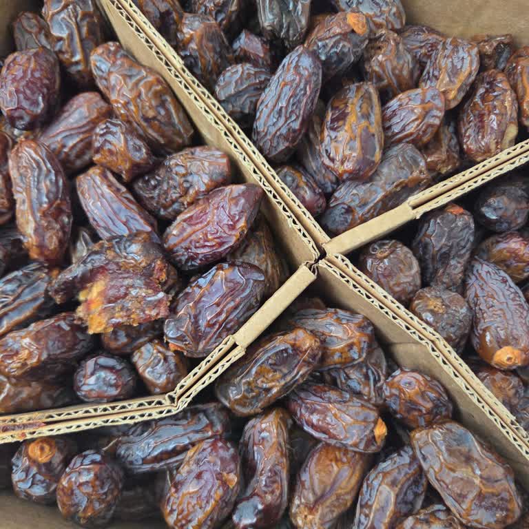 İk Tarım’dan Gelen Bozuk Hurma İçin Geri Ödeme Talebi