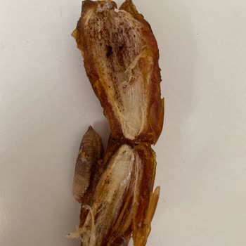 File Market Çekmeköy Şubesinde Mebrum Hurma İçinde Kurt Çıktı