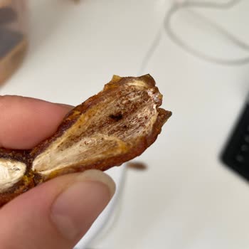 File Market Çekmeköy Şubesinde Mebrum Hurma İçinde Kurt Çıktı