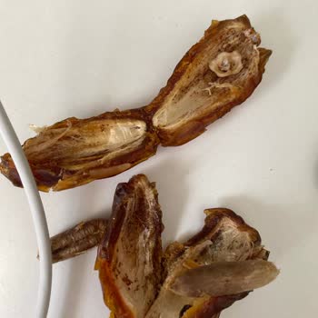 File Market Çekmeköy Şubesinde Mebrum Hurma İçinde Kurt Çıktı