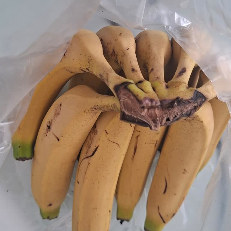 Migros Sanal Market’te Yanlış Muz Gönderimi Ve Cevapsızlık