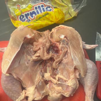 Er Piliç Tavuk Paketi İçinde Bağırsak Çıktı, Hijyen Ve Kontrol Sorunu