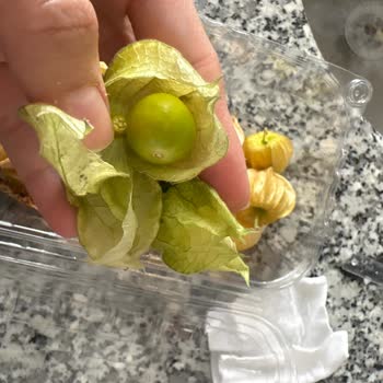 Siparişteki Bozuk Ve Olgunlaşmamış Ürünler İçin İade Talebi